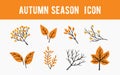 Leaf Autumn Season Icon Set 2 Royalty Free Stock Photo