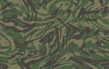 Camouflage zebra pattern, seamless background. Masking army camo, repeat print. Vector Royalty Free Stock Photo