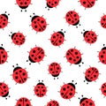 Ladybugs cute characters seamless pattern. Ladybirds insects flying with open wings.