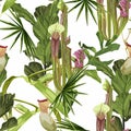 Tropical seamless pattern. Summer print. Jungle rainforest. Sarracenia, genus of carnivorous plants. Royalty Free Stock Photo