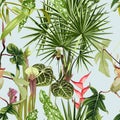 Tropical seamless pattern. Summer print. Jungle rainforest. Sarracenia, genus of carnivorous plants. Royalty Free Stock Photo