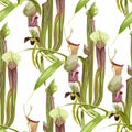 Tropical seamless pattern. Summer print. Jungle rainforest. Sarracenia, genus of carnivorous plants and orchids. Royalty Free Stock Photo