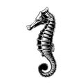 Seahorses black and white