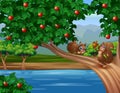 Cartoon a cute squirrels on the apple tree Royalty Free Stock Photo