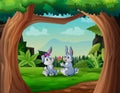 Cute couple rabbit in the green field