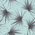 Tropical seamless pattern with exotic black white fan palm leaves. Blue background. Royalty Free Stock Photo