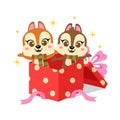 Cute squirrels in Christmas present box Royalty Free Stock Photo