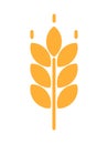 Wheat vector icon design illustration. Oat symbol .Agriculture concept. Ears of Wheat, Barley or Rye vector visual graphic icon. Royalty Free Stock Photo