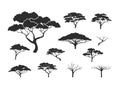 Acacia tree vector collections, set of acacia silhouette Royalty Free Stock Photo