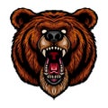 Cartoon scary bear head mascot