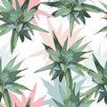 Flowers seamless pattern, agave, cacti, aloe greenery. Decorative white background.