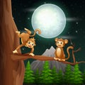 Cartoon of monkeys on the tree branch at night