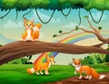 Cute three foxes cartoon playing at the jungle