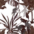 Abstract foliage seamless pattern, various plant and tree in brown on white background.