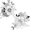 One black outline flower, branch and leaves.Isolated on white background.Hand drawn. Royalty Free Stock Photo