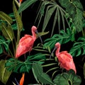 Birds Scarlet Ibis in the thickets of a flowering rainforest. Hand drown illustration.