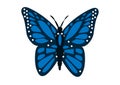 Blue cute vector butterfly clipart illustration Royalty Free Stock Photo