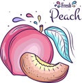 Peach fruit kawaii style, hand drawn vector illustration. Peach fruit hand drawing. Royalty Free Stock Photo
