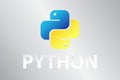 Python Programming Language Logo with text papercut design