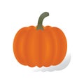 Pumpkin realistic vector illustration and design