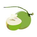 Health and Nutrition Benefits of coconut, coconut fruit vector illustrations