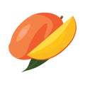 Health and Nutrition Benefits of Mango, mango fruit vector illustrations