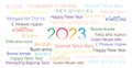 Colorful Happy New Year 2023 in different languages word cloud greeting card concept. Happy New Year 2023 in many different langua