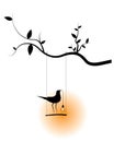 Bird on swing on branch holding lightbulb