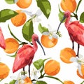 Seamless Tropical Fruits and Toucan Pattern in Vector. Pomegranate, Lemon, Orange Flowers, Leaves Background.