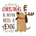 Christmas is better with a dog - Cute dog in deer antler and christmas lights.