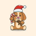 Cute dog eating christmas cookies and candy Royalty Free Stock Photo