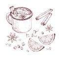 Hand drawn mulled wine recipe. Hot drink in cup, anise stars, cinnamon, orange slices, cloves, cranberry.