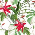 Red Passion flower seamless pattern, buds and palm tropical leaves on white background. Royalty Free Stock Photo