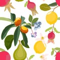 Art floral seamless pattern. Pomegranate tree with bluberry, lemons and green leaves. Royalty Free Stock Photo