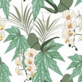 Seamless pattern, tropical palm leaves, greenery, orchid flowes.