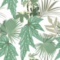 Seamless pattern, tropical palm leaves, greenery. Decorative white background in rustic boho style for fabric.