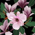 Seamless floral pattern with pink tropical magnolia flowers with leaves on blsck background. Royalty Free Stock Photo