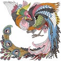 Chinese phoenix or Feng Huang. Celestial Feng Shui animal. Vector