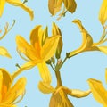 Seamless pattern with yellow Oleander flower. Rhododendron Cosmopolitan flowers on blue background. Royalty Free Stock Photo