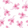 Seamless bright tropical background with a paradise exotic pink hibiscus flower on white background. Royalty Free Stock Photo