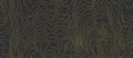 Vector wood grain, topographic texture. Wooden pattern with gold fibers. Dark black background. Royalty Free Stock Photo