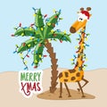 Merry Xmas - Cute giraffe in Santa hat, on island with palm tree and christmas lights.