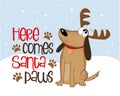 Here comes Santa paws - funny saying with cute dog in Antler. Royalty Free Stock Photo