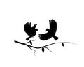 Birds on Branch, Wall Decals, Couple of Birds in Love Royalty Free Stock Photo