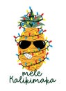 Mele Kalikimaka Happy New Year Christmas in Hawaiian pineapple in sunglasses with a garland. Royalty Free Stock Photo