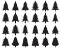 Christmas tree, silhouettes Royalty Free Stock Photo
