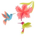 Two hummingbirds with flower vector illustration Royalty Free Stock Photo