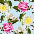 Seamless floral pattern, white, pink peony flowers on a blue background. Royalty Free Stock Photo