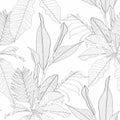 Tropical exotic floral line black white palm leaves and flowers seamless pattern, line background. Royalty Free Stock Photo