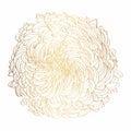 Lline-art image of a golden flower chrysanthemum. Flowers isolated on white background.